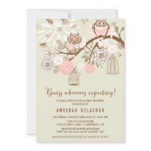 Inbjudan till rosa Uggla och Birdcages Baby Shower
