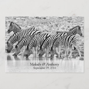 Inbjudan till safari Zebra-bröllop i Afrika