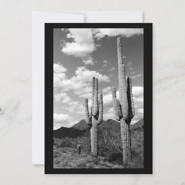 Inbjudan till Saguaro Sentinel (AZ Sonoran Desert) (Framsida)