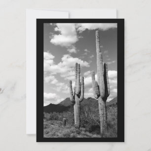 Inbjudan till Saguaro Sentinel (AZ Sonoran Desert)