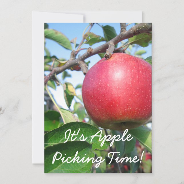 Inbjudan till skördetid (Framsida)