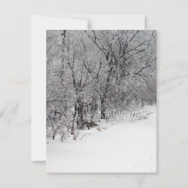 Inbjudan till Snowy Skogen (Framsida)