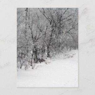 Inbjudan till Snowy Skogen