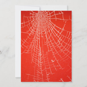 Inbjudan till Spiders-Webben