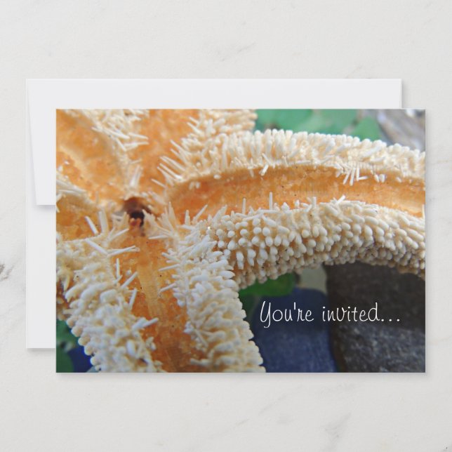 Inbjudan till stjärnfisk och marint glas (Framsida)