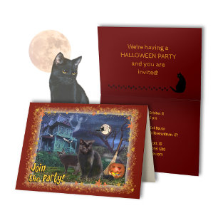 Inbjudan till svarta katter Halloween fest