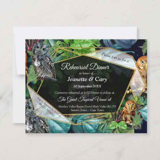 Inbjudan till temat Nattboende party firande (Framsida)