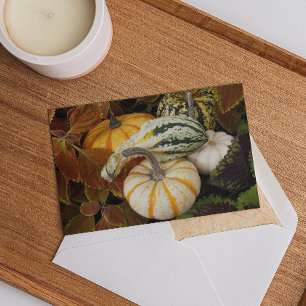 Inbjudan till Thanksgiving på skördetorg