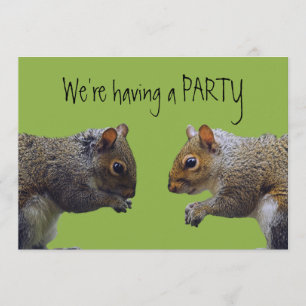 Inbjudan till två ekorrerpartier