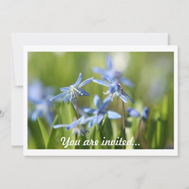 Inbjudan till vår Lökar (Framsida)