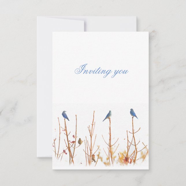 Inbjudan till vildens fågeldesign (Framsida)