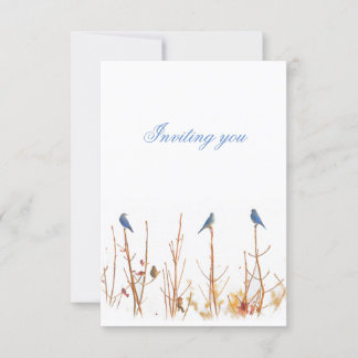 Inbjudan till vildens fågeldesign