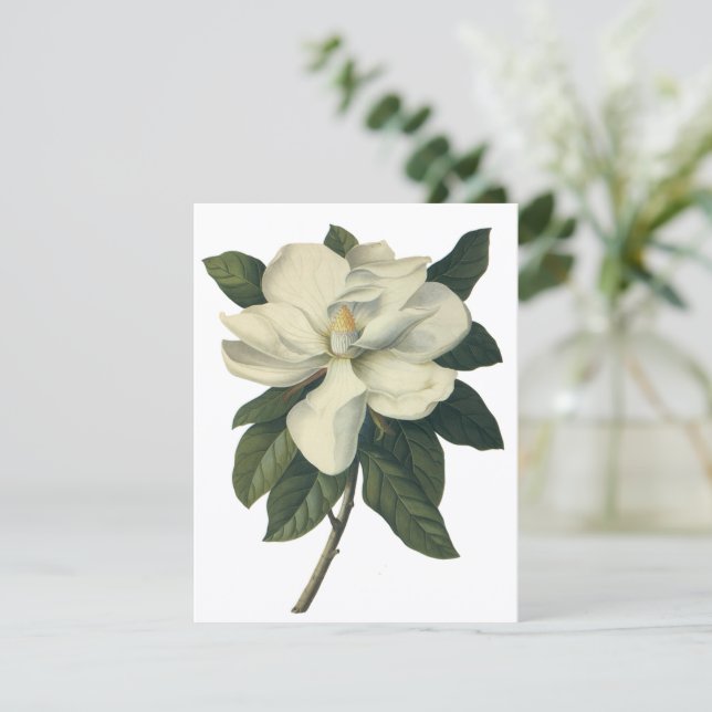 Inbjudan till vintage White Magnolia Blommar Flowe (Stående Fram)