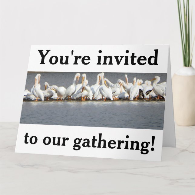 Inbjudan vykort, Pelikaner (Framsida)