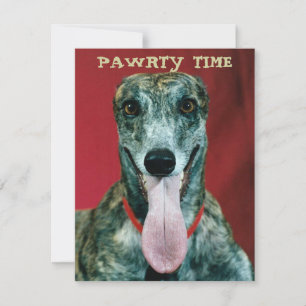 INBJUDANDE OM GREYHOUNUND VALP HUND PAWRTY PARTY I INBJUDNINGAR