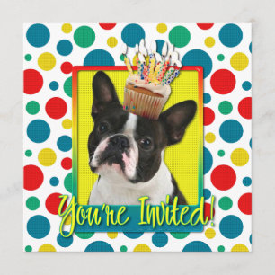 Inbjudanmuffin - Boston Terrier Inbjudningar