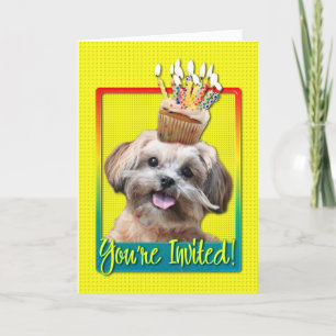 Inbjudanmuffin - ShihPoo - Maggie Inbjudan