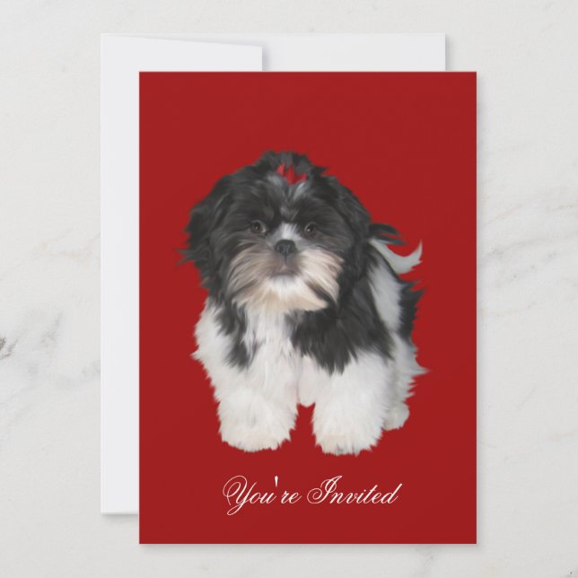 Inbjudningar Shitzu Shih Tzu Puppy Hundar (Framsida)