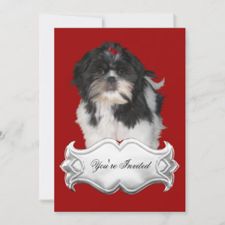 Inbjudningar Shitzu Shih Tzu Puppy Hundar Red Blac