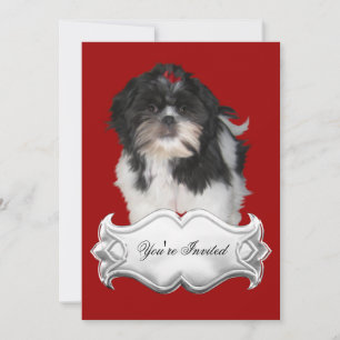 Inbjudningar Shitzu Shih Tzu Valpar Röda Svarta