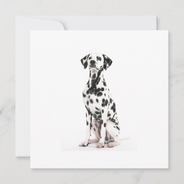 Inbjudningar till brandkår Hund (Framsida)