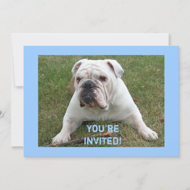 Inbjudningar till engelska Bulldog Birthday (Framsida)