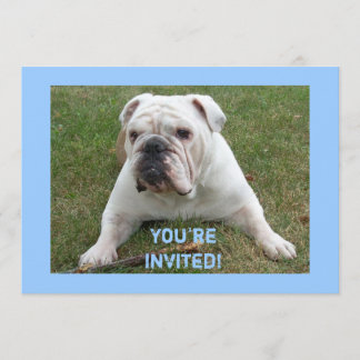 Inbjudningar till engelska Bulldog Birthday