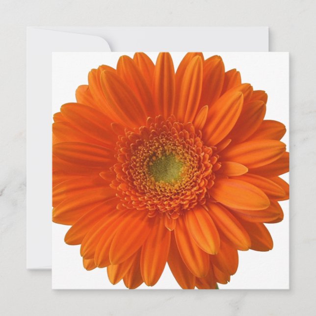 Inbjudningar till Orange Daisy (Framsida)