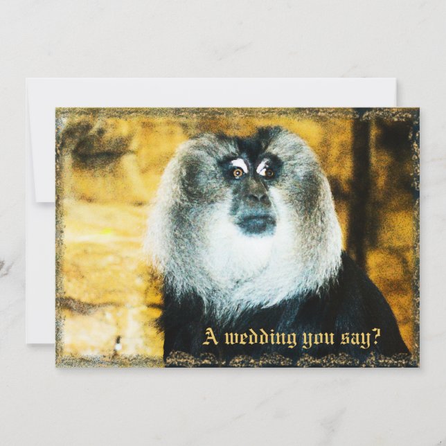 Inbjudningar till Roligt med Monkey Photo Zoo Wedd (Framsida)