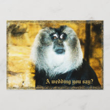 Inbjudningar till Roligt med Monkey Photo Zoo Wedd