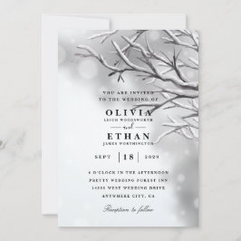 Inbjudningar till Silver vinterbröllop