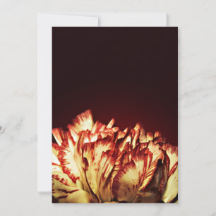 Inbjudningar till vapenbrand