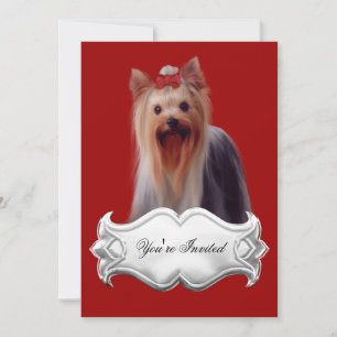 Inbjudningar Yorkshire terrier Valpar Hundar Röda