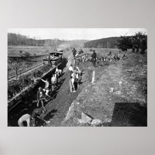 Inbördeskrigjärnväg på Clifton, Virginia, 1863 Poster