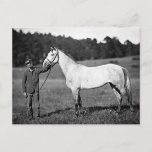 Inbördeskrigshäst, 1860-talet vykort