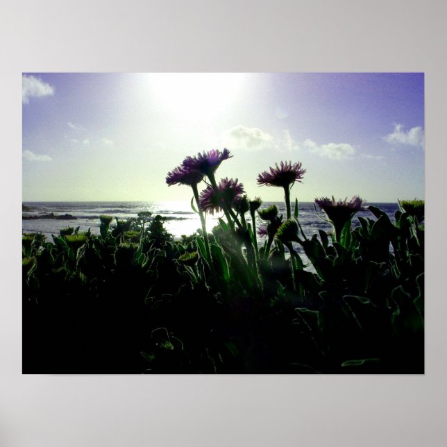 Inbrytning Poster (Framsidan)