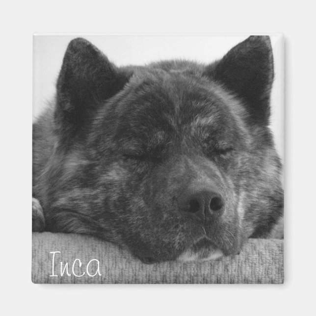 Inca Magnet (Framsidan)