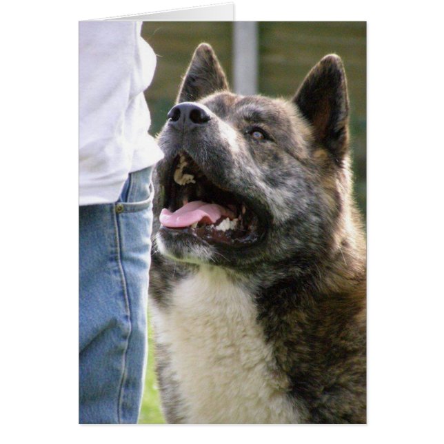 Inca tittar upp hälsningskort (Framsidan)