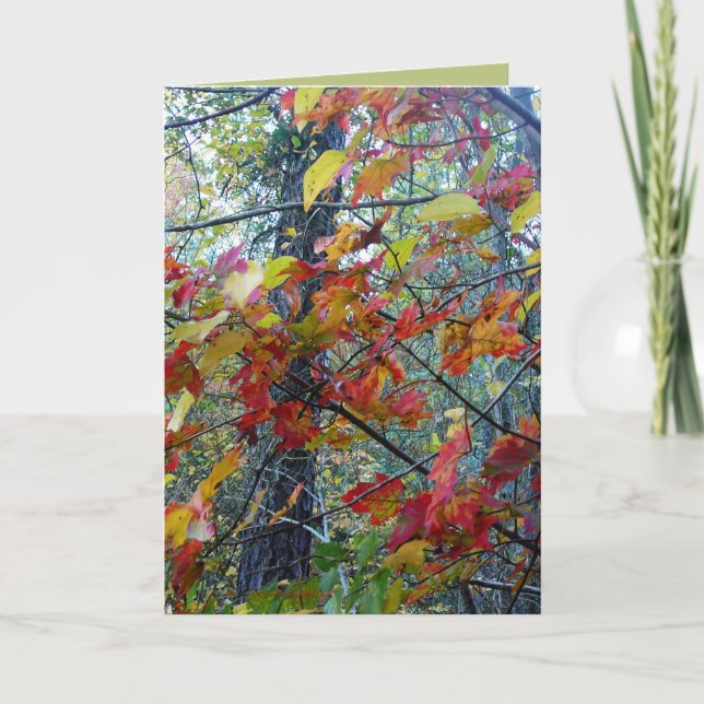 Incarnate höst kort (Framsida)