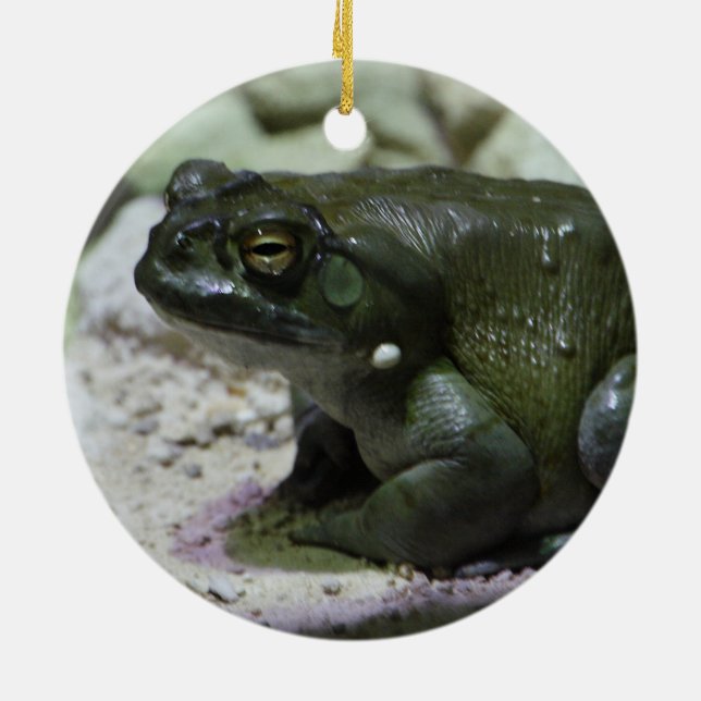 Incilius alvarius julgransprydnad keramik (Baksidan)