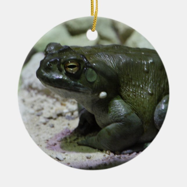 Incilius alvarius julgransprydnad keramik (Framsidan)