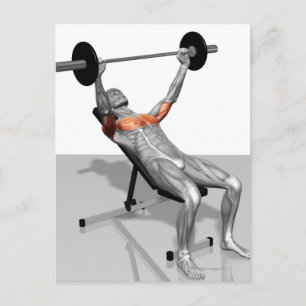 Incline Bench Press Vykort