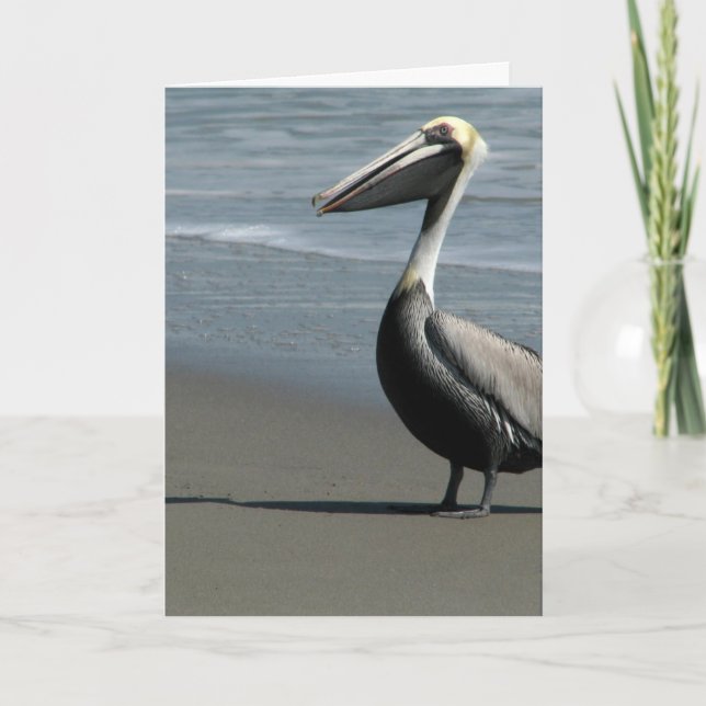 Incredi-Räkning födelsedag Kort (Framsida)