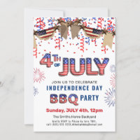 Independence day Fireworks 4:e JULY BBQ Party