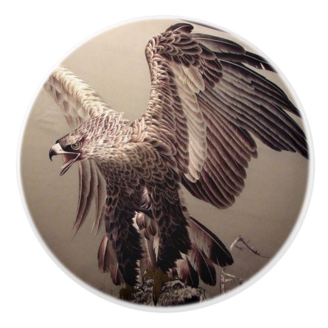 Independence day Patriotic American Eagle Knopp (Framsidan)