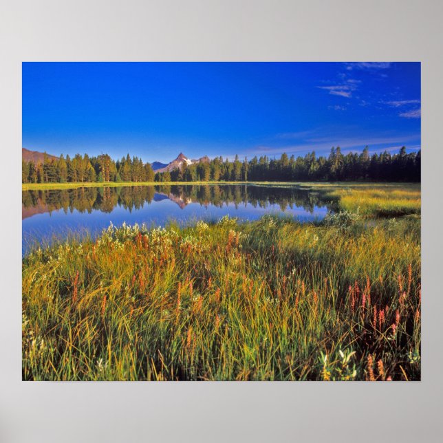 Index Peak reflekterar i Lera Sjö på Poster (Framsidan)