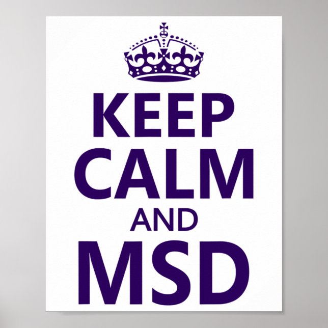 India Cricket Team Jersey Styled Fan 1  Poster (Framsidan)