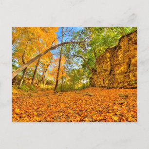 India Village Canyon in Autumn, Columbus, Ohio Vykort