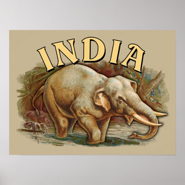 India Wildlife - Indian Elephant Poster (Framsidan)