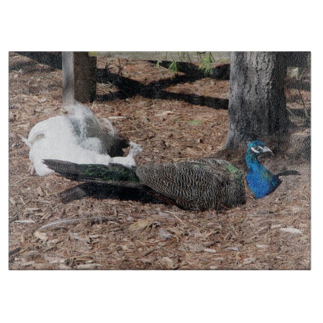 Indian Blue and White Pheasants Cutting Board (Framsidan)